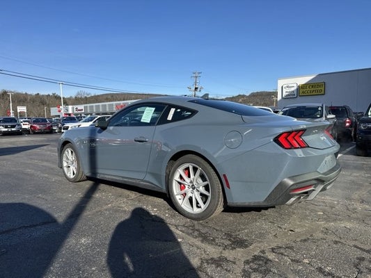 2024 Ford Mustang GT Premium Fastback in South Glens Falls, NY - Romeo Auto Group