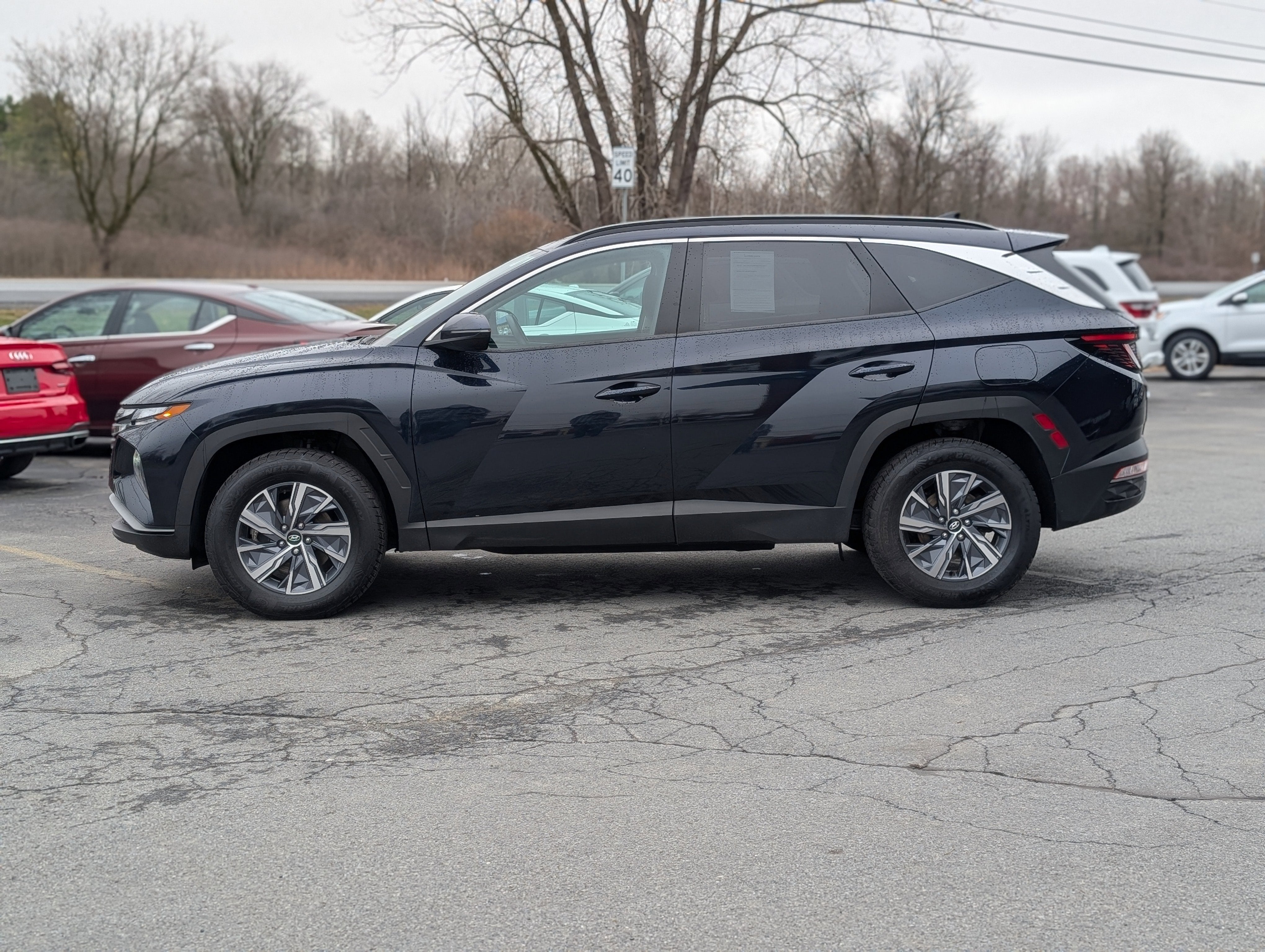 2023 Hyundai Tucson Hybrid Blue