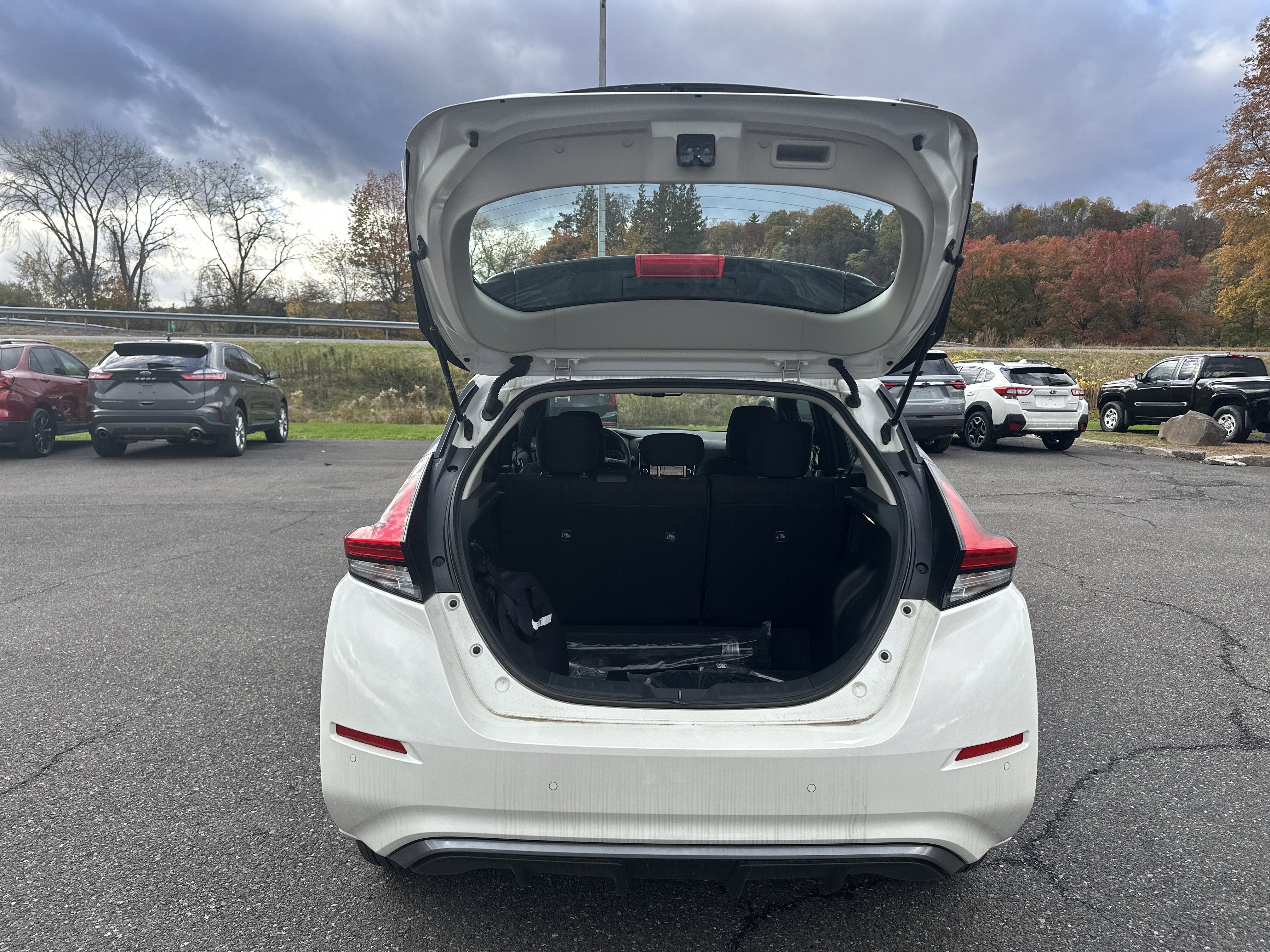 2025 Nissan LEAF SV PLUS