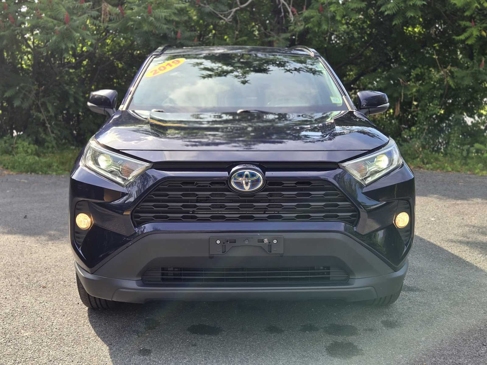 2019 Toyota RAV4 Hybrid XLE