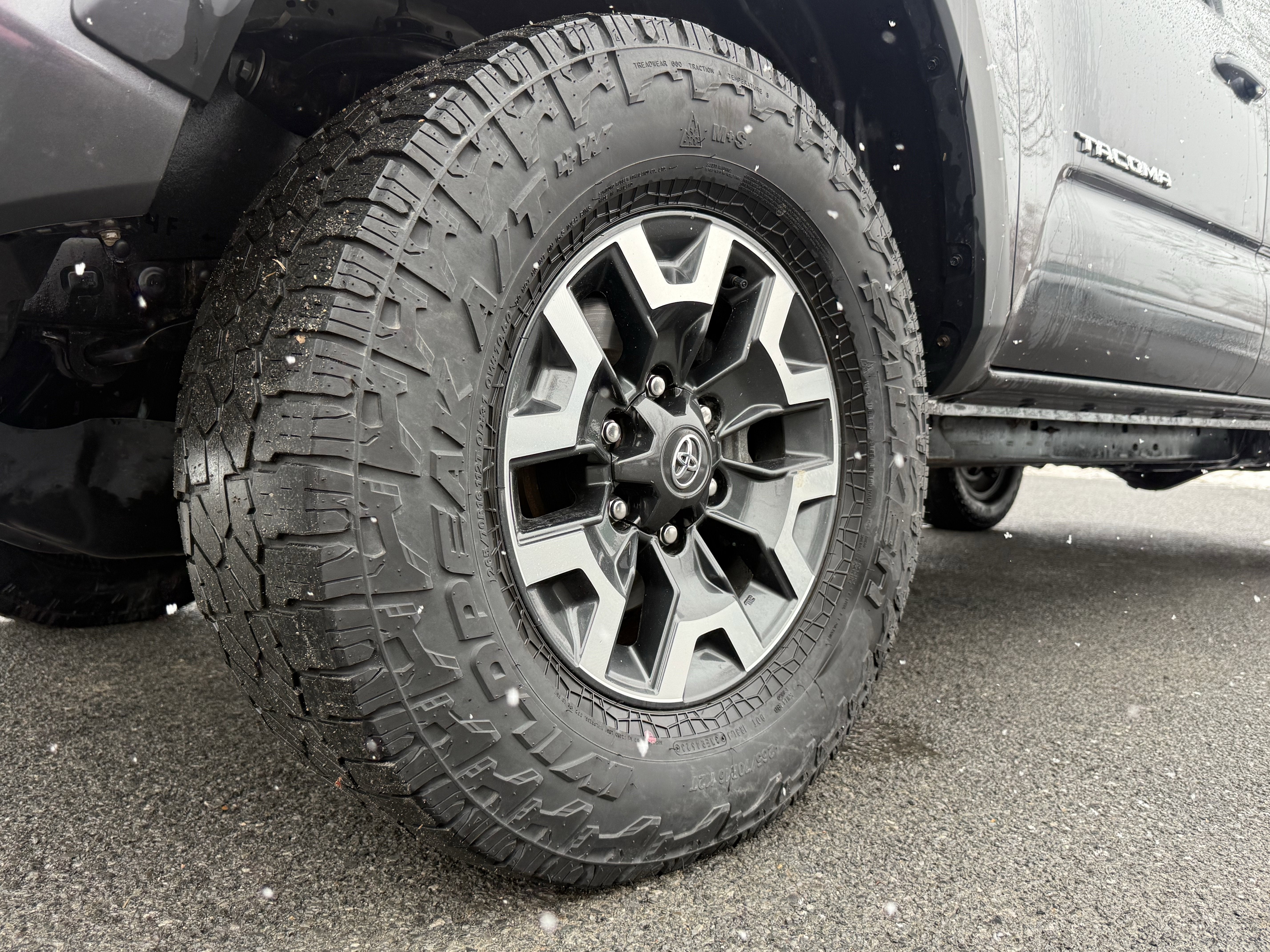 2023 Toyota Tacoma V6