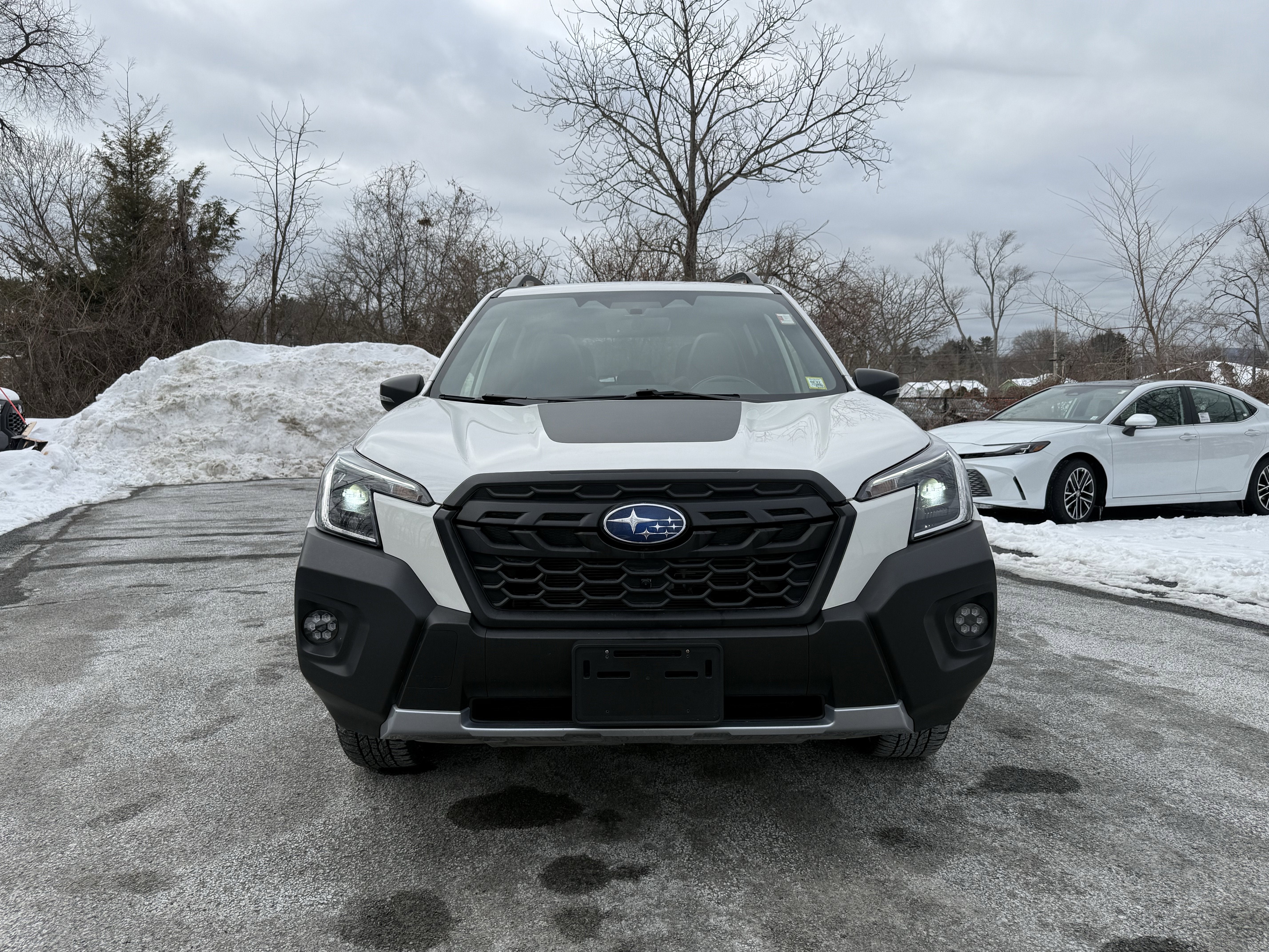 2023 Subaru Forester Wilderness