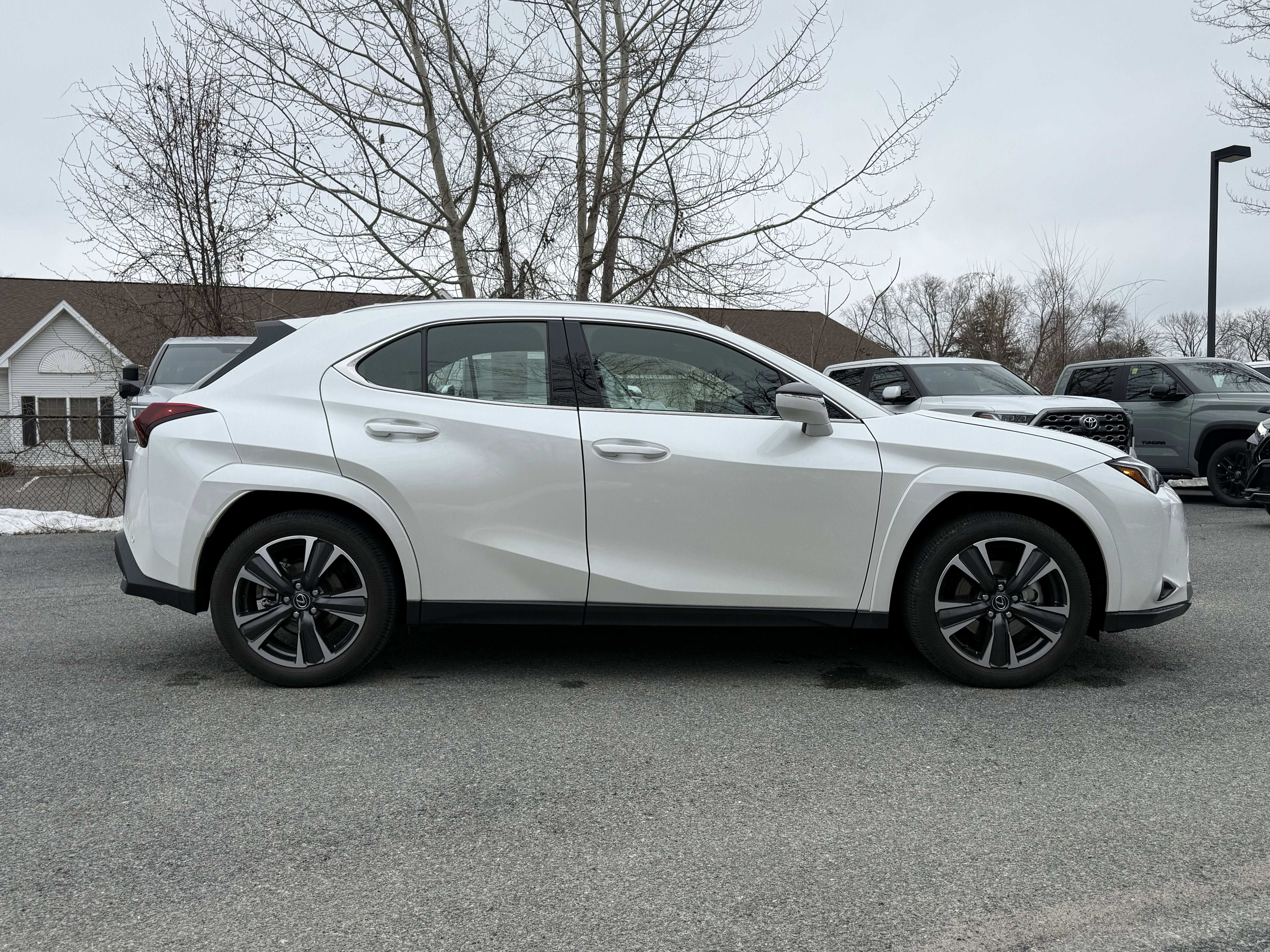 2025 Lexus UX UX 300h