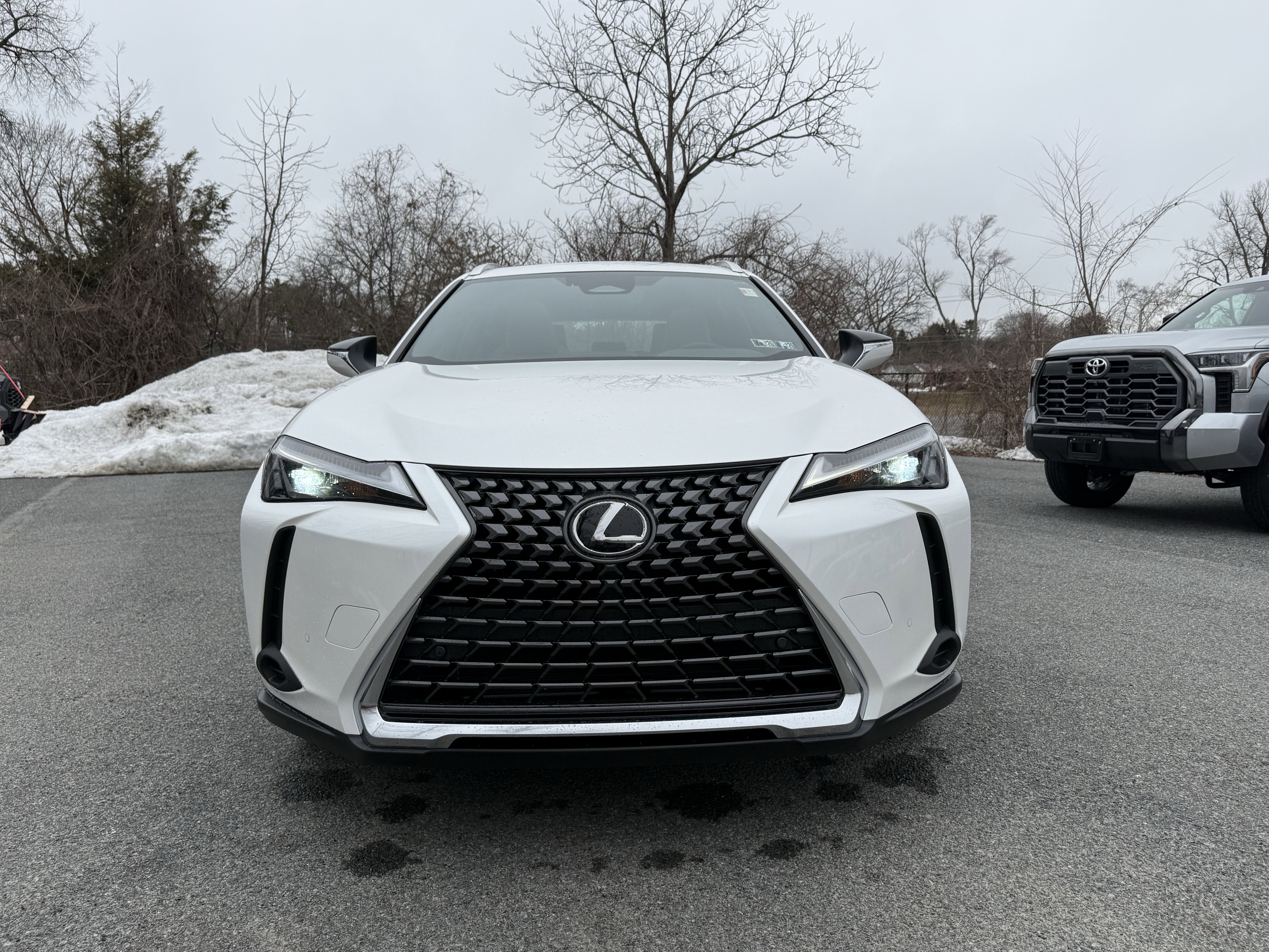 2025 Lexus UX UX 300h