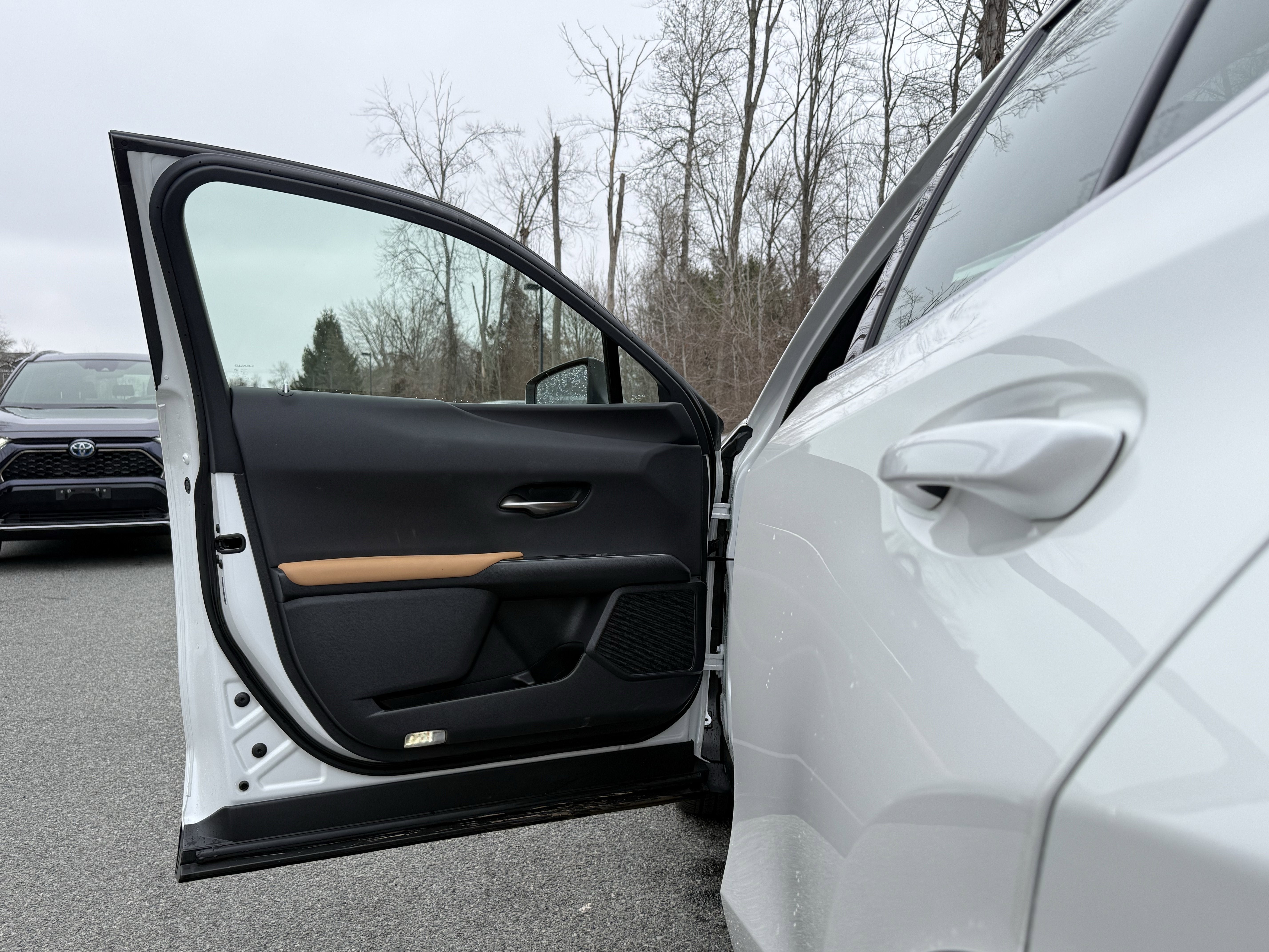 2025 Lexus UX UX 300h