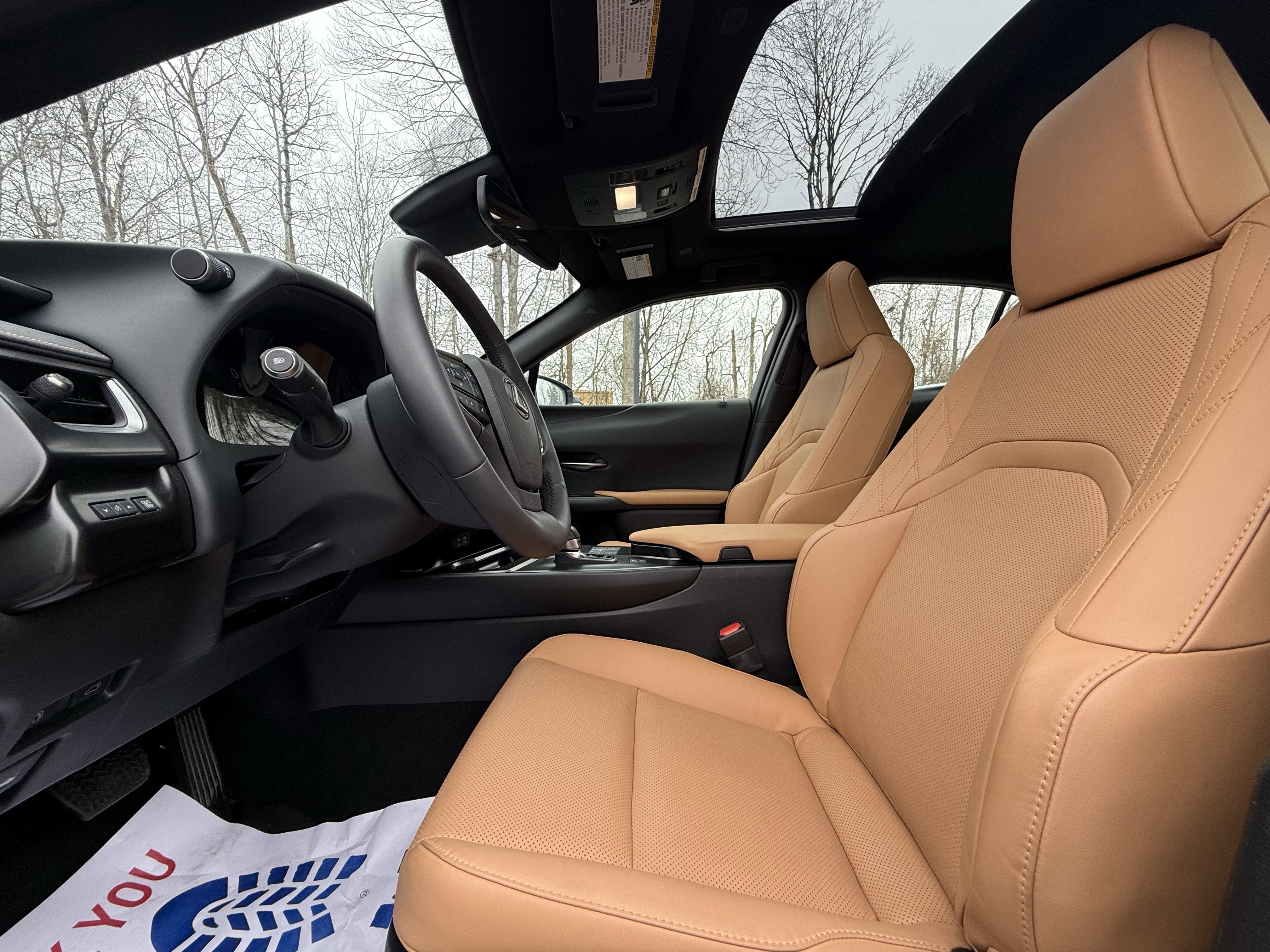 2025 Lexus UX UX 300h