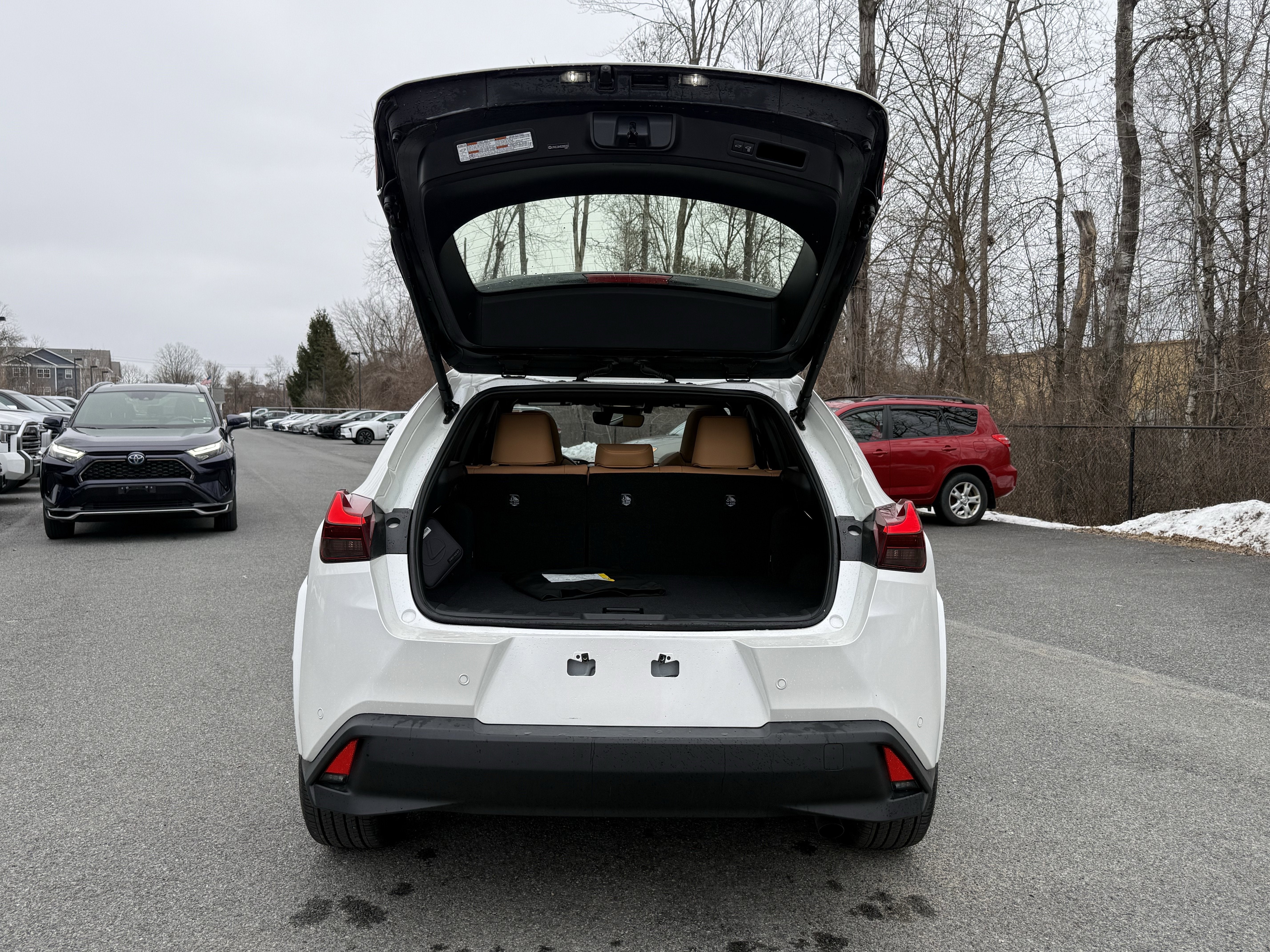 2025 Lexus UX UX 300h