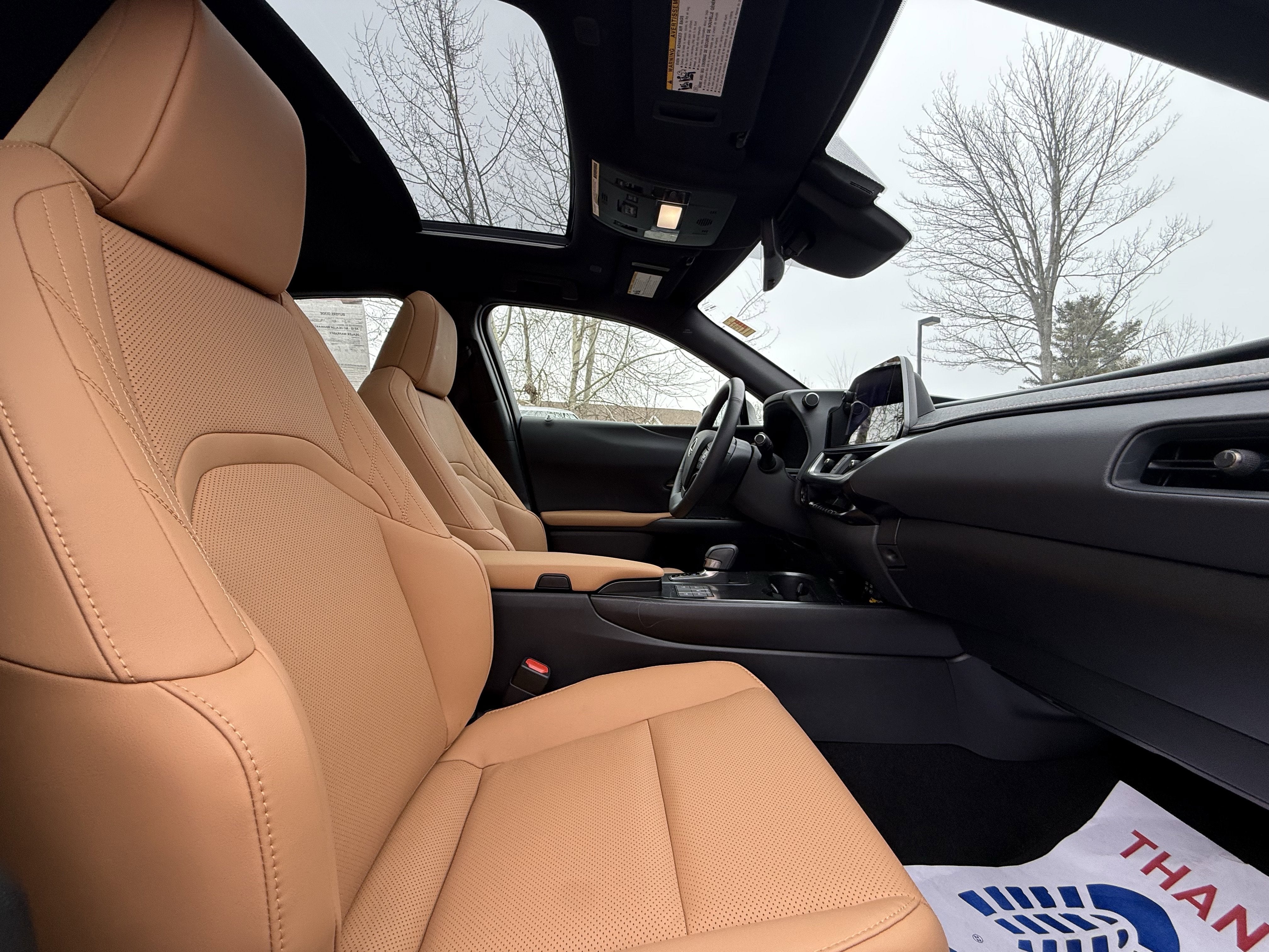 2025 Lexus UX UX 300h