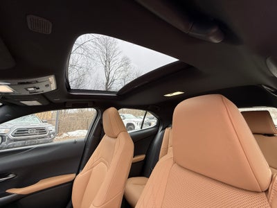 2025 Lexus UX UX 300h