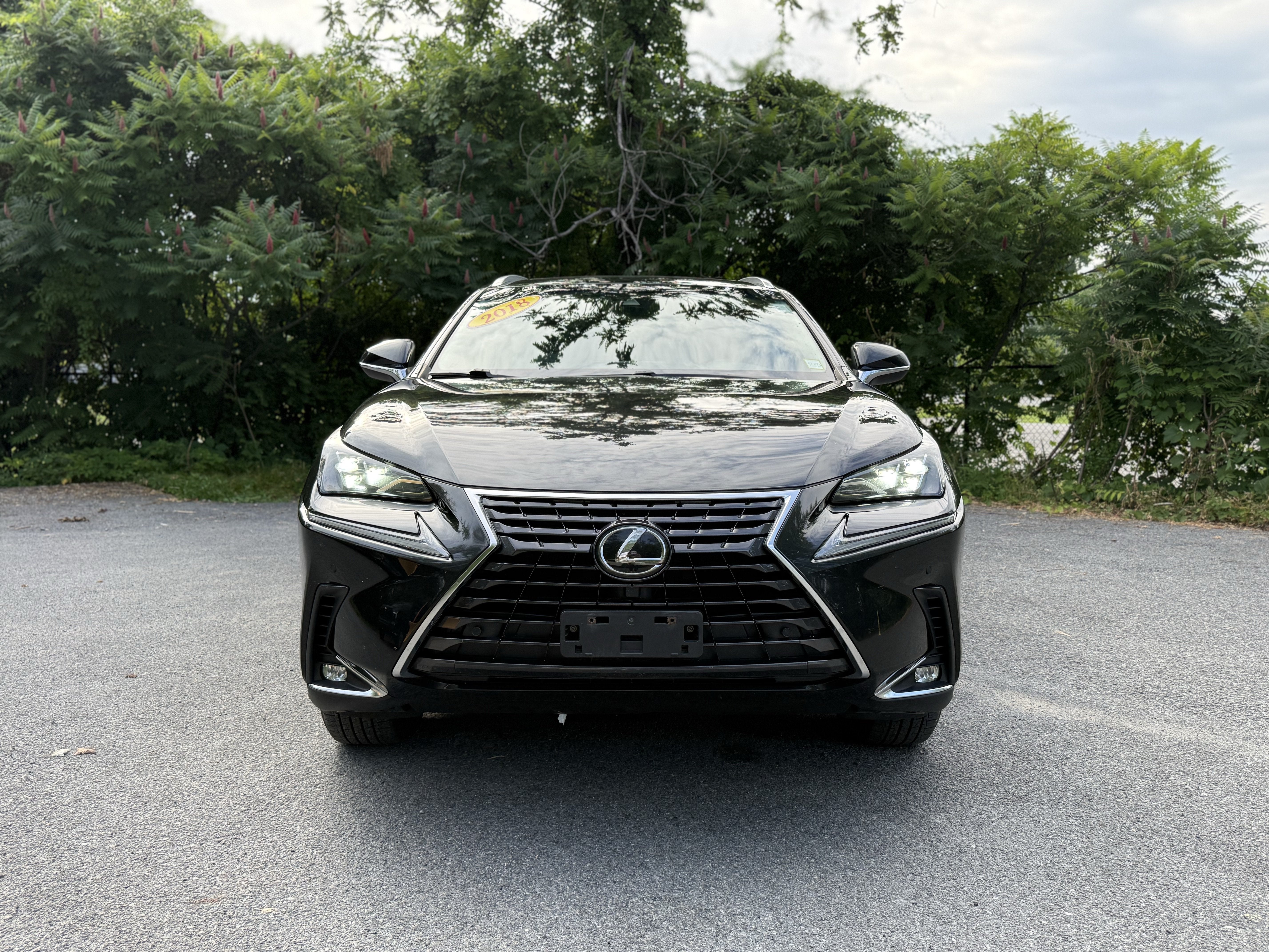 2018 Lexus NX 300 Base