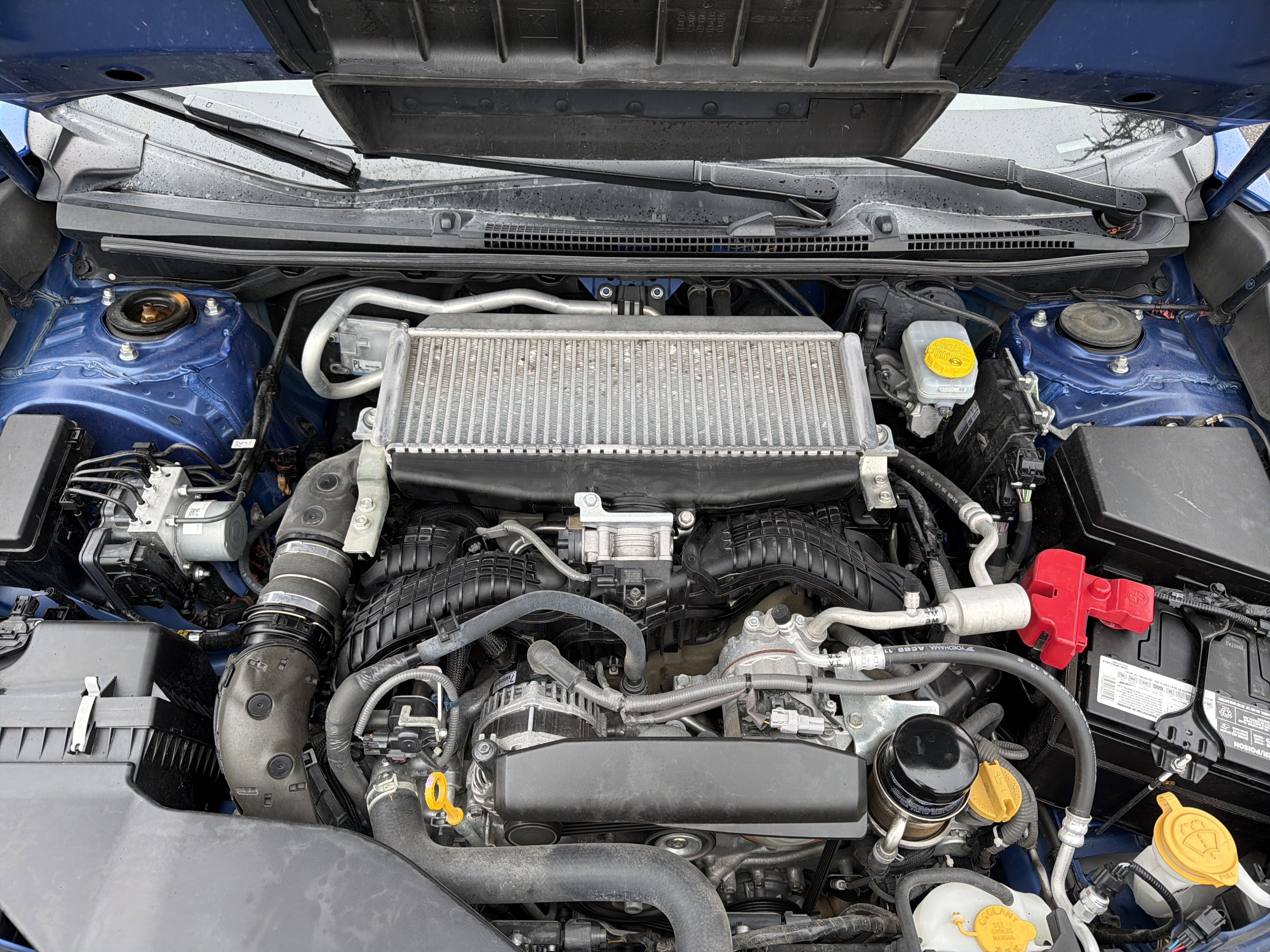 2022 Subaru WRX Limited