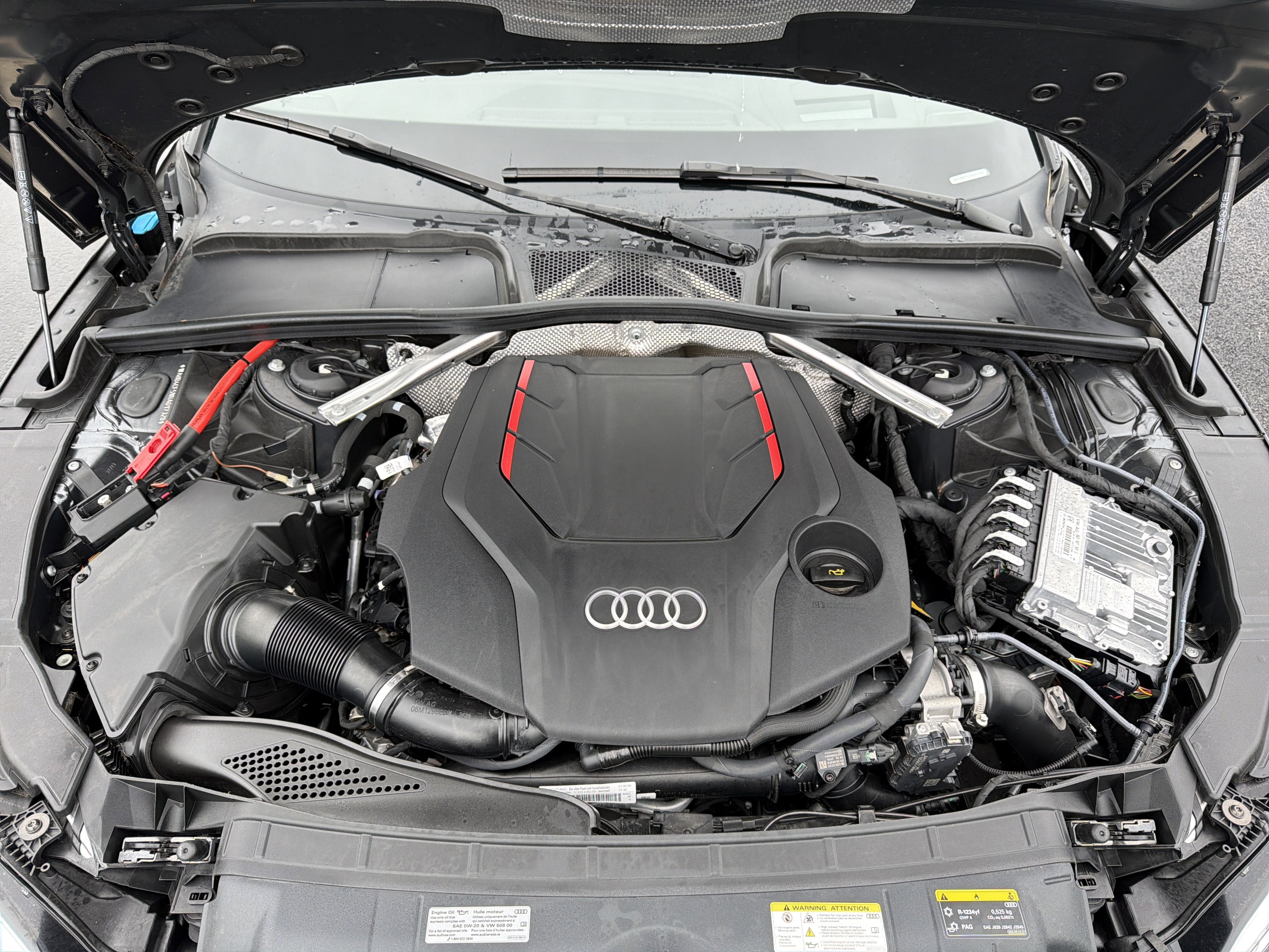 2024 Audi S5 Sportback Prestige quattro