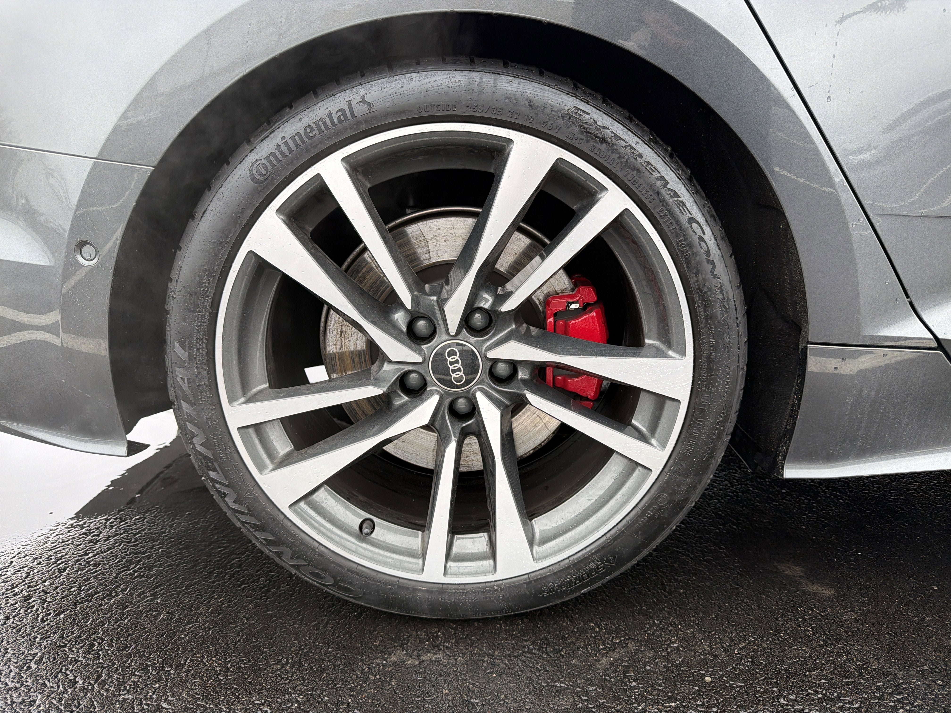 2024 Audi S5 Sportback Prestige quattro