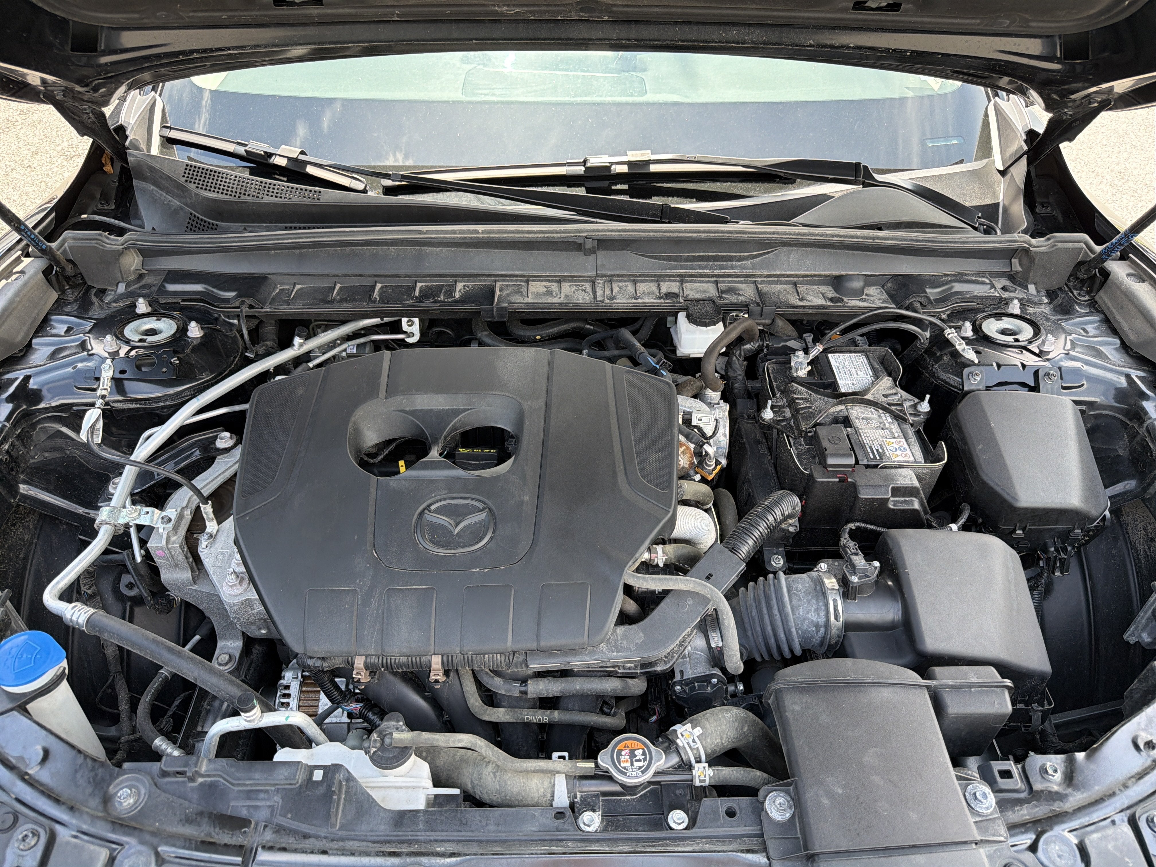 2025 Mazda Mazda CX-50 2.5 S Premium Package