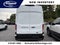 2026 Ford Transit Cargo Van VK