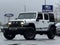 2016 Jeep Wrangler Black Bear