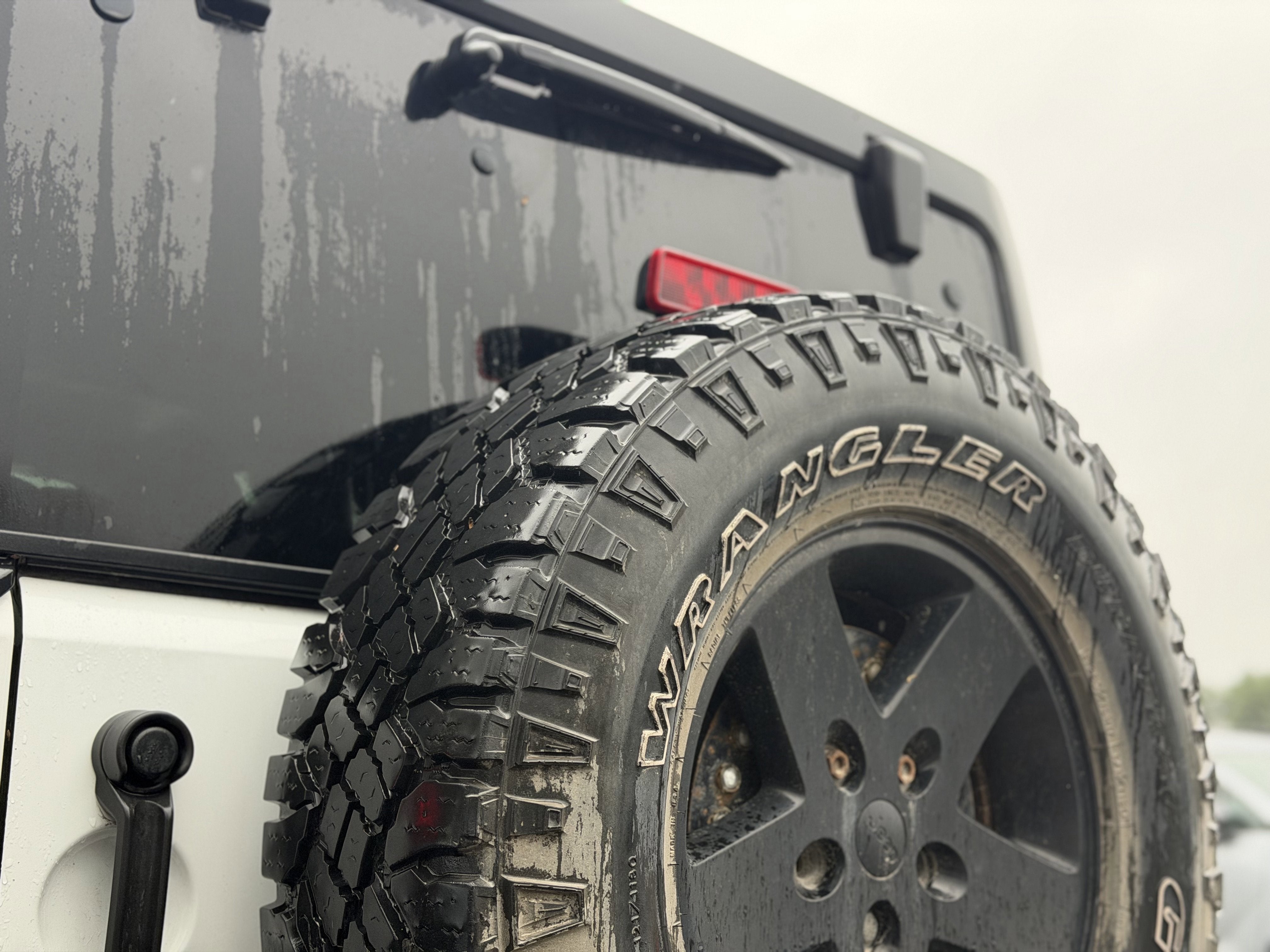2016 Jeep Wrangler Black Bear