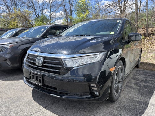 2024 Honda Odyssey Elite