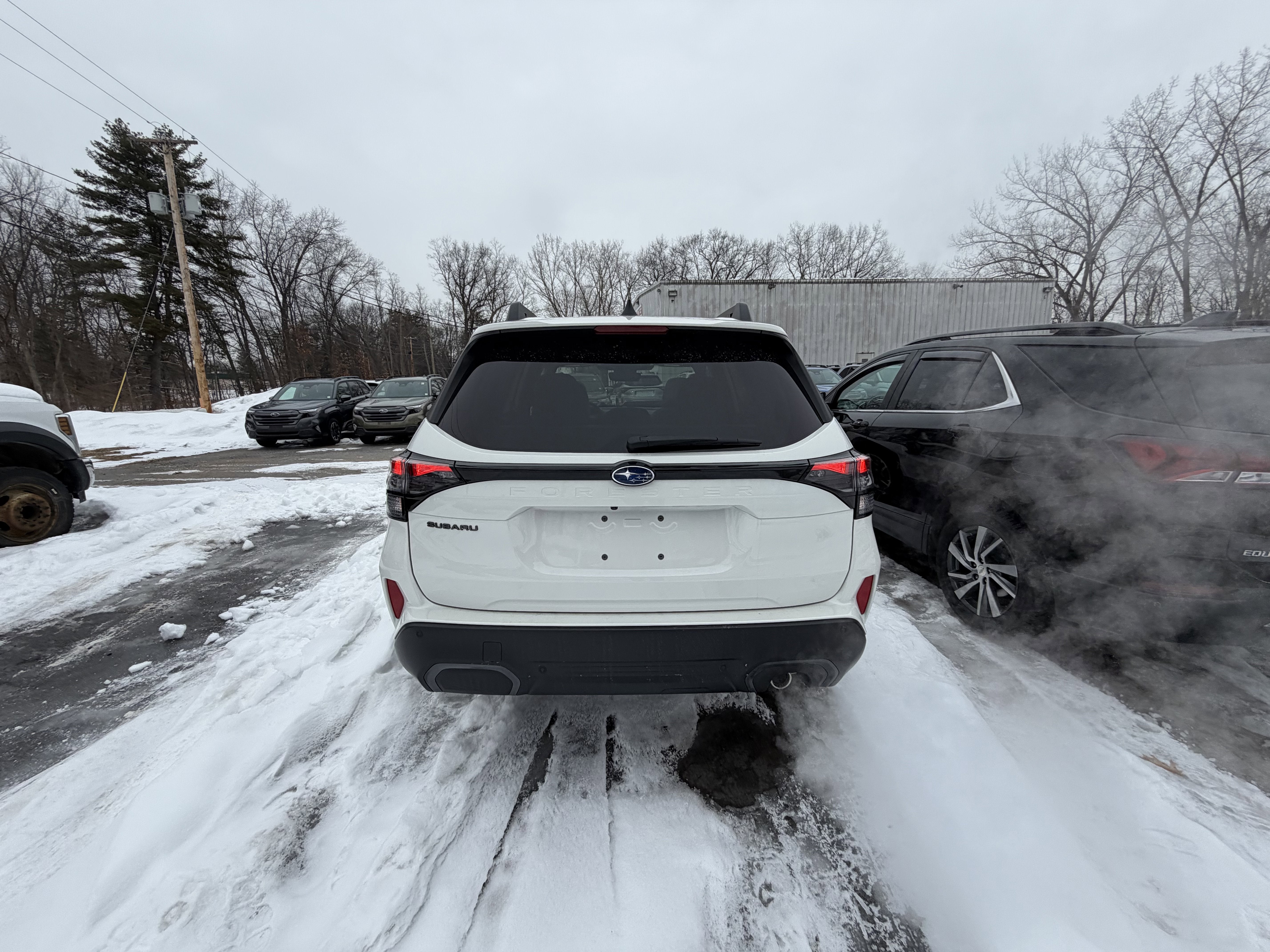 2026 Subaru FORESTER Limited
