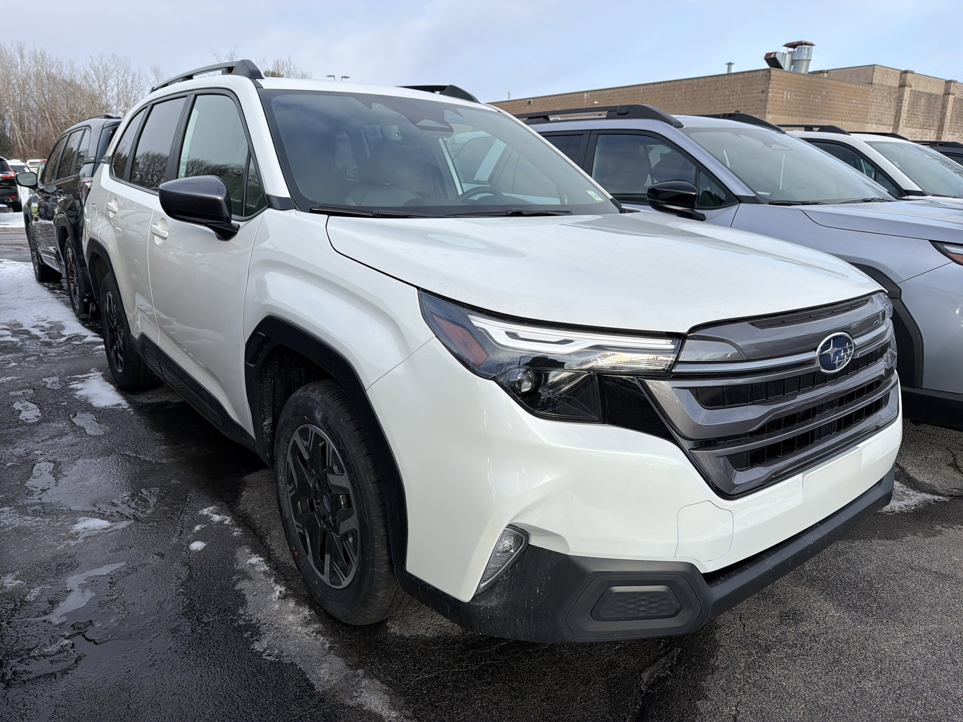 2026 Subaru FORESTER Limited