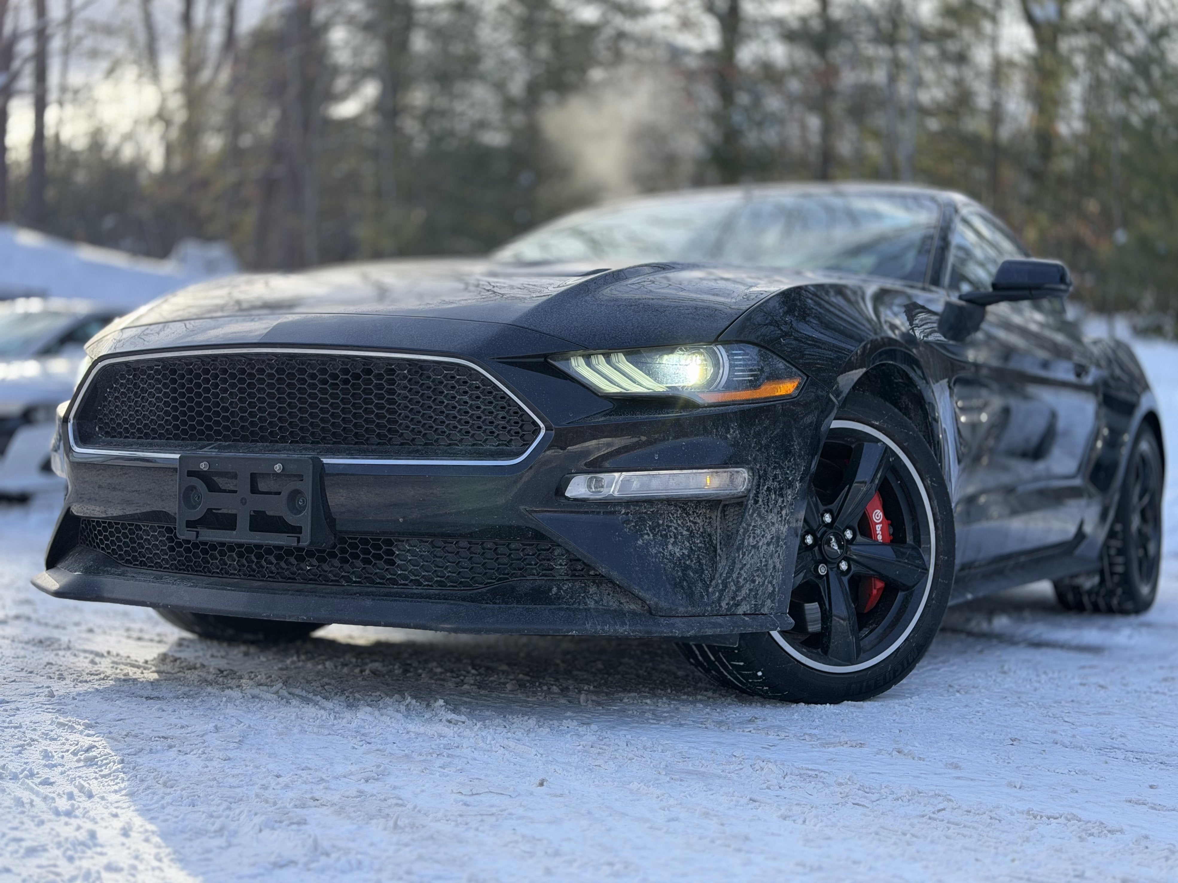 2019 Ford Mustang Bullitt