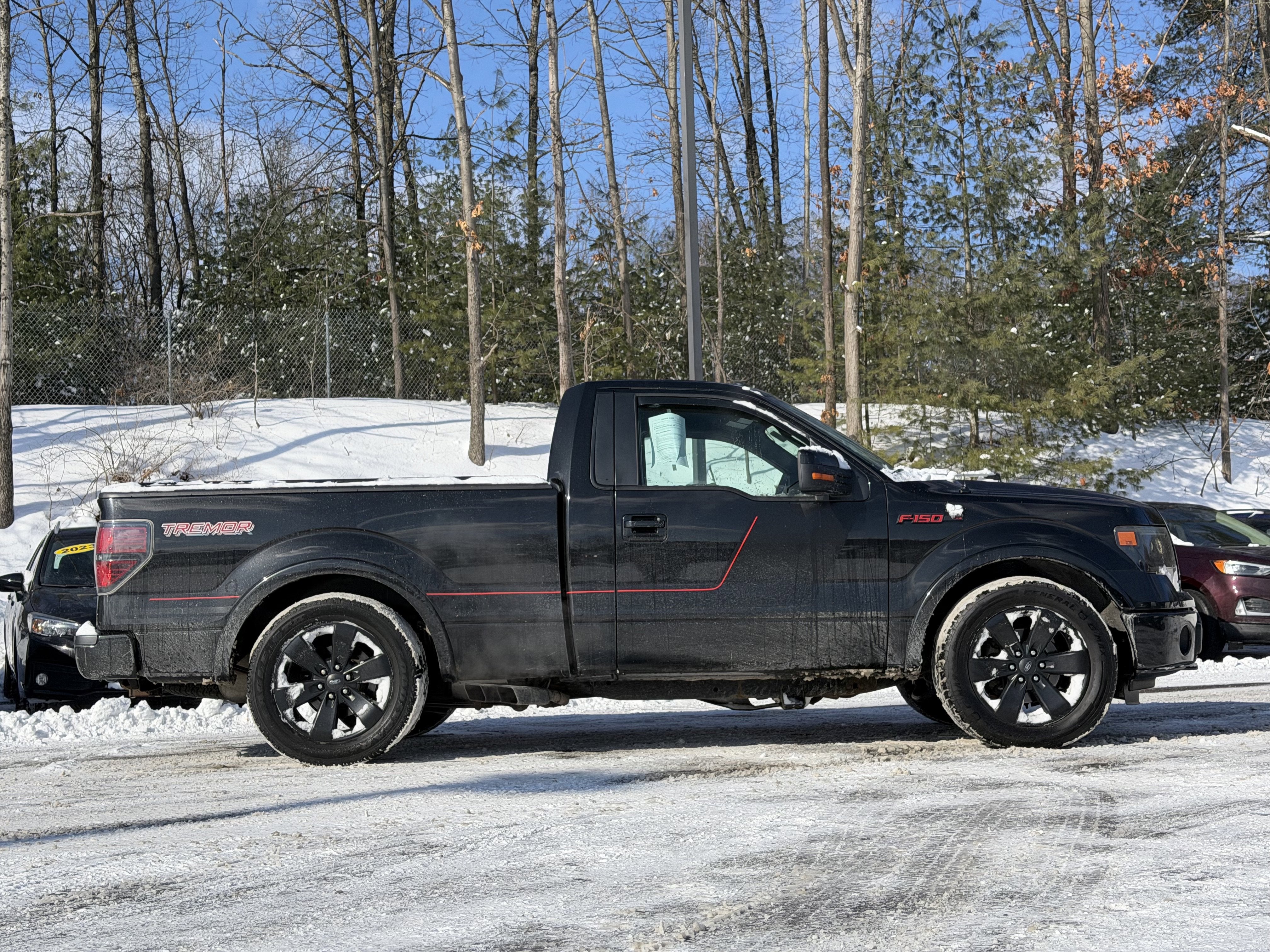 2014 Ford F-150 FX4