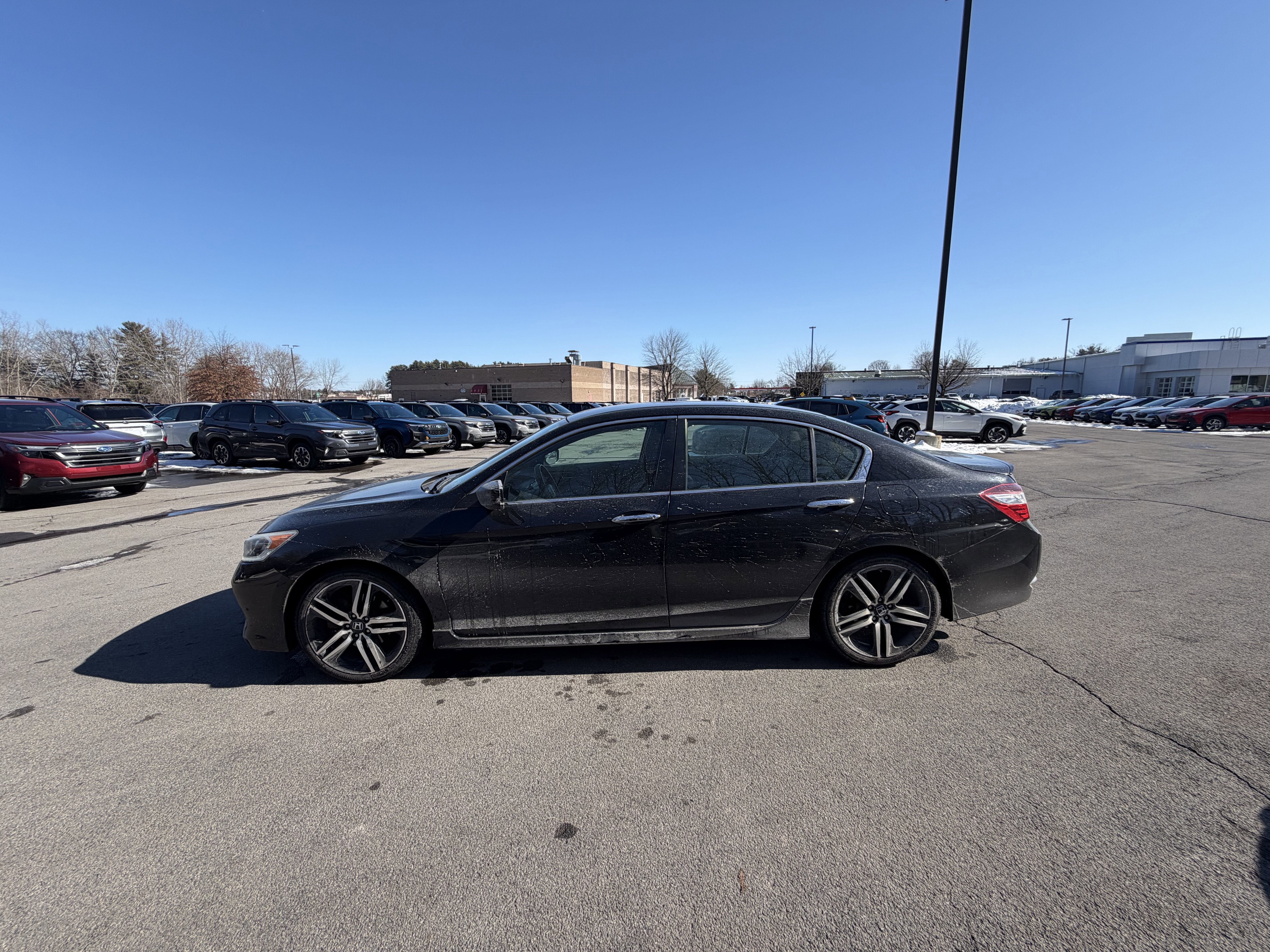 2017 Honda Accord Sport Special Edition