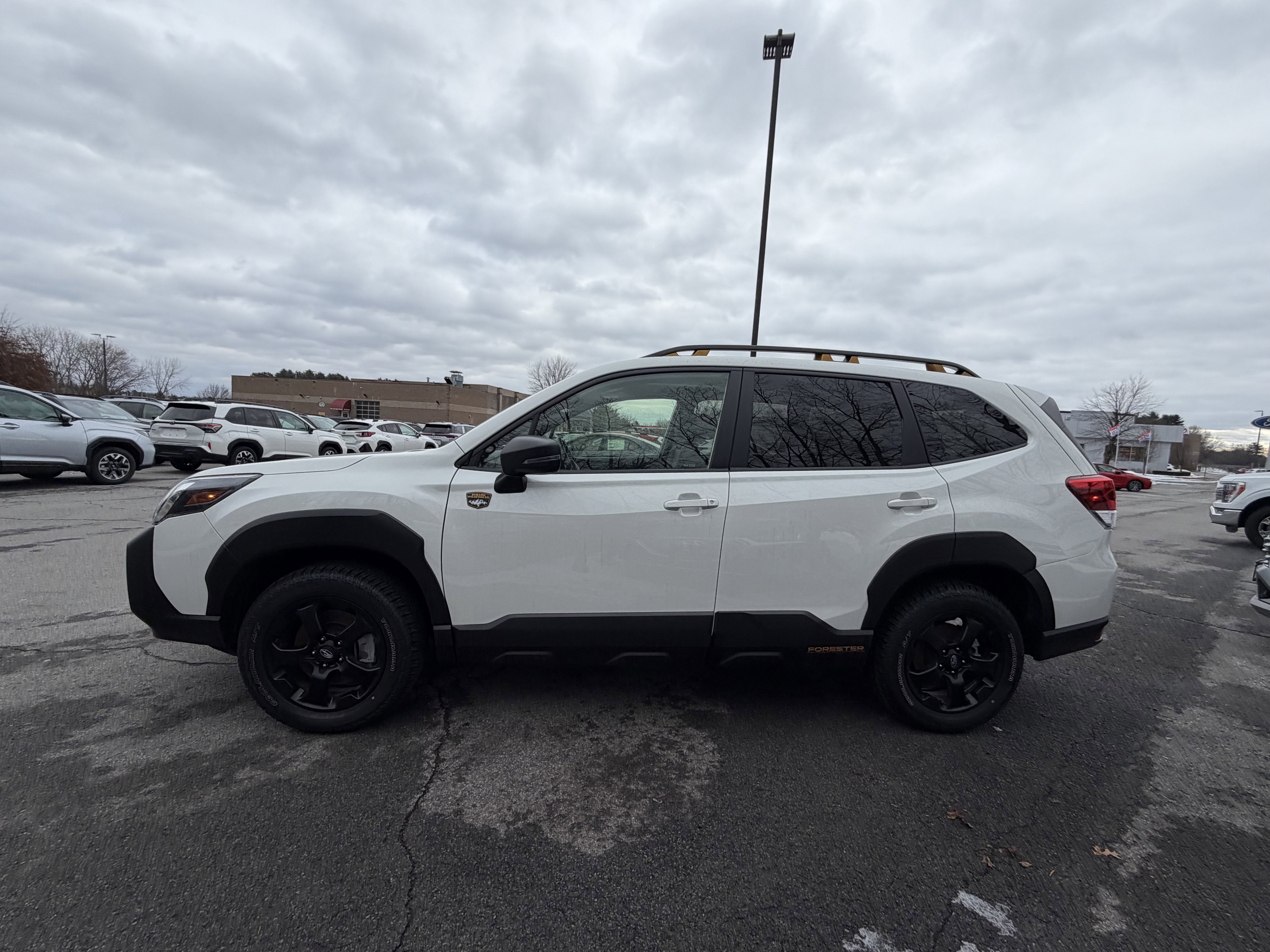2025 Subaru Forester Wilderness