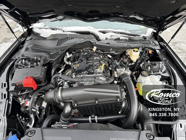 2026 Ford Mustang EcoBoost® Fastback