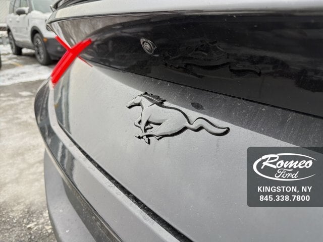 2026 Ford Mustang EcoBoost® Fastback