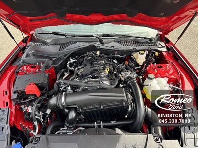 2025 Ford Mustang EcoBoost® Premium Fastback