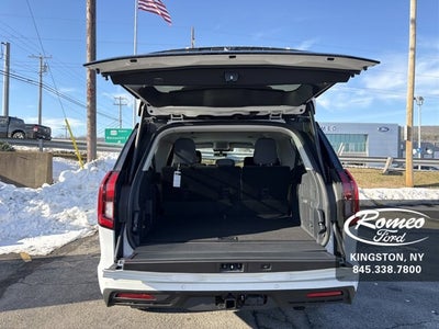 2025 Ford Expedition Active MAX