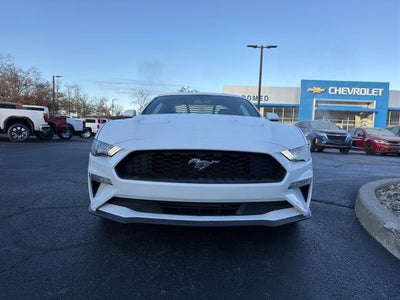 2019 Ford Mustang EcoBoost