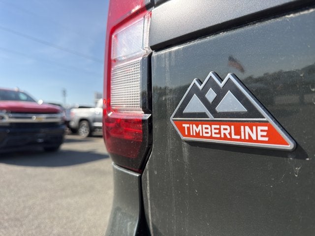 2023 Ford Expedition Timberline