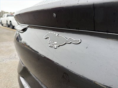 2023 Ford Mustang Mach-E California Route 1