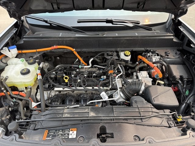 2024 Ford Maverick XLT